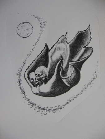 Fly to the Moon