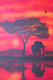 African Sunset