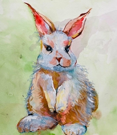 Bunny