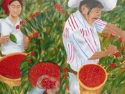 cafeteros