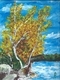 Birch Tree in Autumn