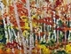 fall birch