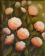 Hydrangea
