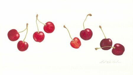 Dancing Cherries