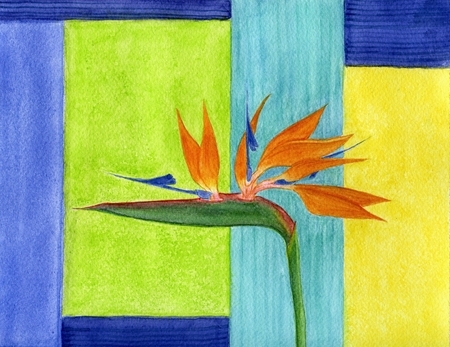 Bird of Paradise 2