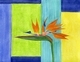 Bird of Paradise 2