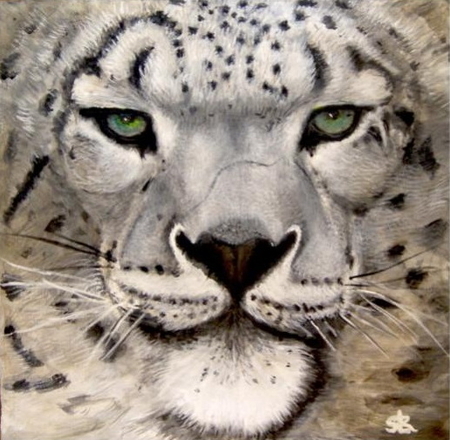 Snow Leopard