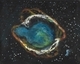 Fish In Space