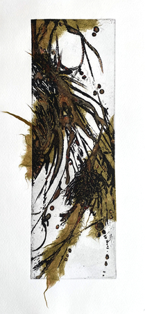 Jen Pah Etching chine colle watercolour WEB