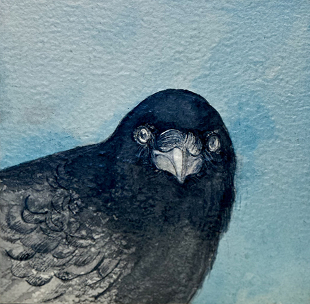 Jen Pah watercolour crow WEB