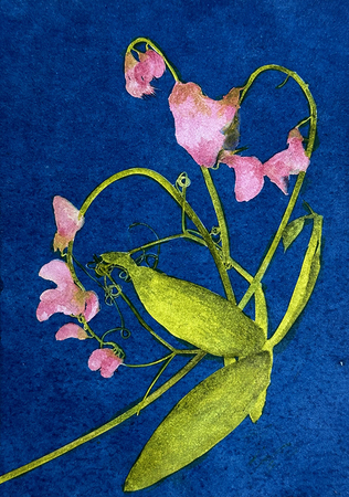 Jen Pah WaterColour WEB