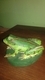 Leopard frog