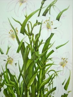 Lilly Triptich 1