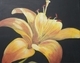 lily