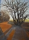 Long Shadows