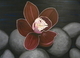 Orchid On The Rocks