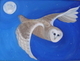 Owl by the light of the Moon