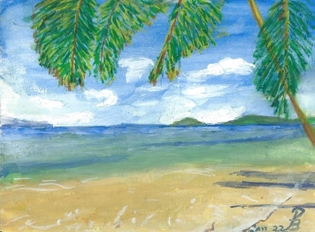 Palm Beach (1)