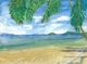 Palm Beach (1)