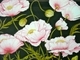 Pink Poppies