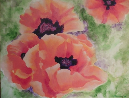 poppies