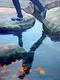 Rock Jumping