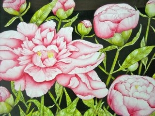 Summer Pink