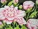Summer Pink