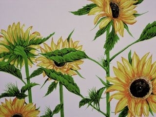Sunflower Eyes