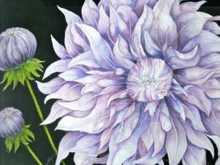 Trio Purple