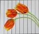 Tulips and Stripes