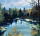 Reflective Pond