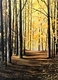 Shades of Gold 36x24